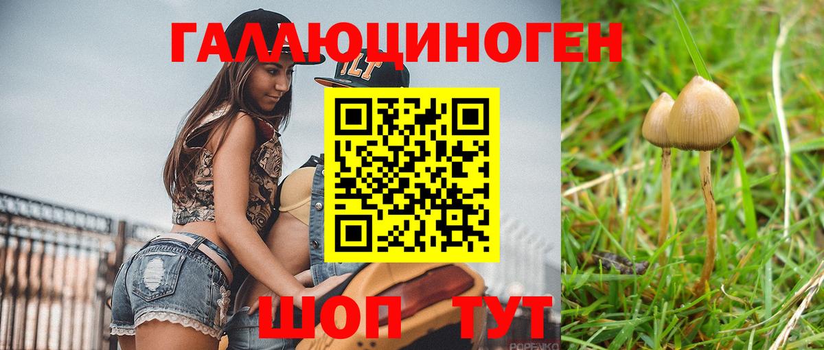 Галлюциногенные грибы MAGIC MUSHROOMS  Псилоцибиновые грибы прущие грибы  Нижний Тагил  Вход с VPN 